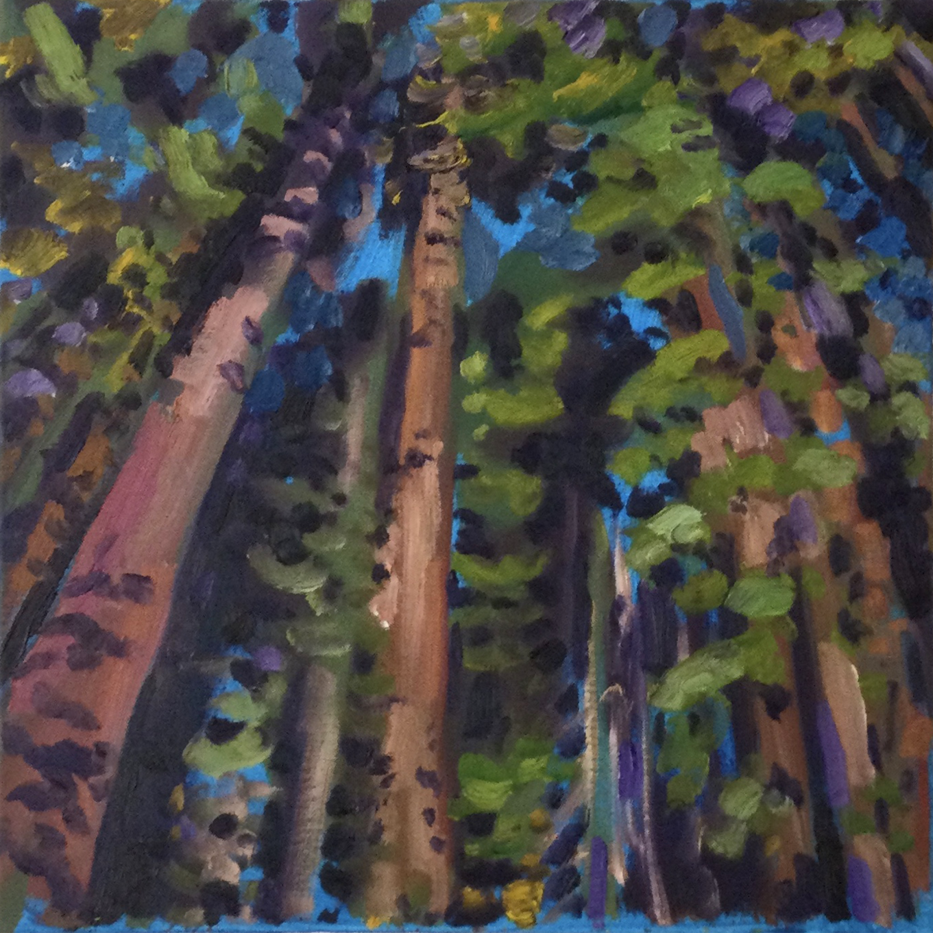 Canopy (18x18, Oil, $300)`